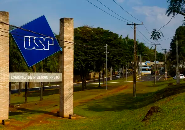 USP 12 Cursos Online Gratuitos