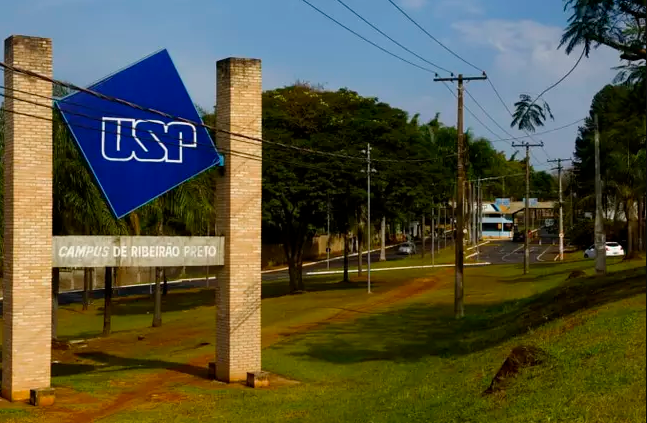 USP 12 Cursos Online Gratuitos